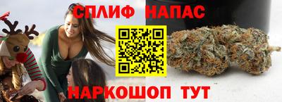 сатива Канаш