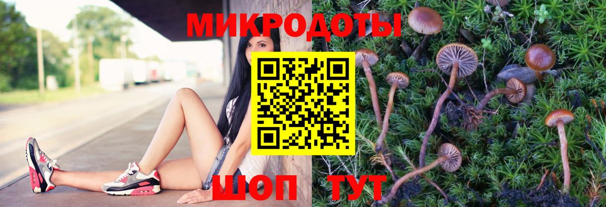 Псилоцибиновые грибы мицелий  Вход с VPN  Галлюциногенные грибы MAGIC MUSHROOMS  Карабулак 